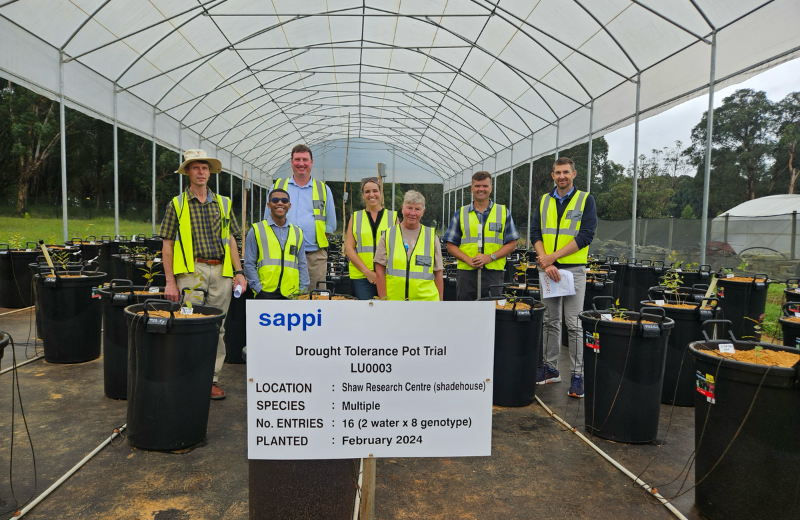 Sappi Research Chair holder Professor Mary Scholes with Sappi team